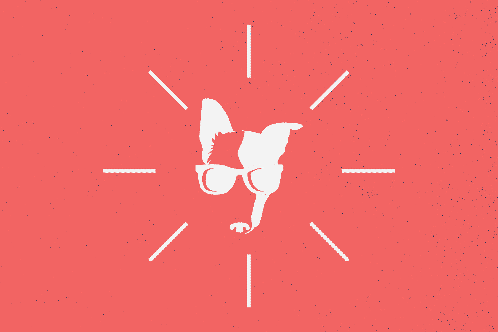 Chill Out Dog Training