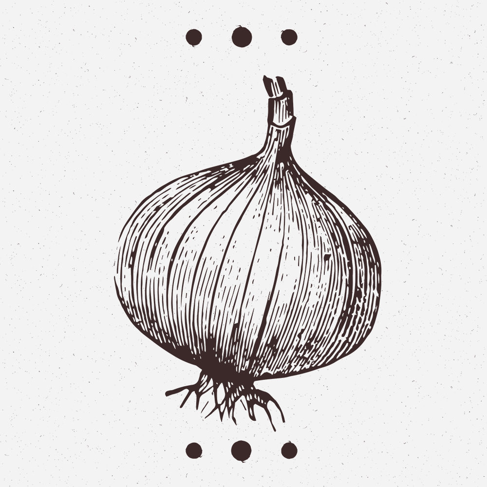 Xatrucho Concepts | Block Illustration 1