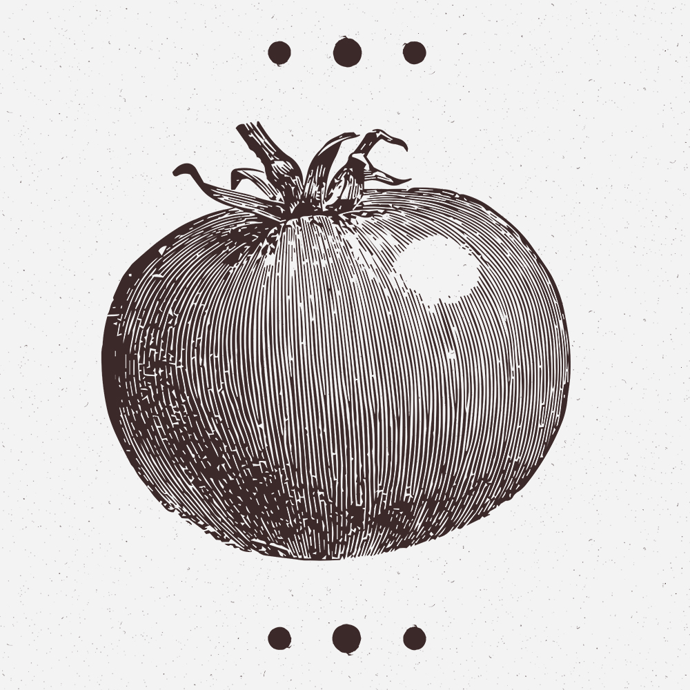 Xatrucho Concepts | Block Illustration 2